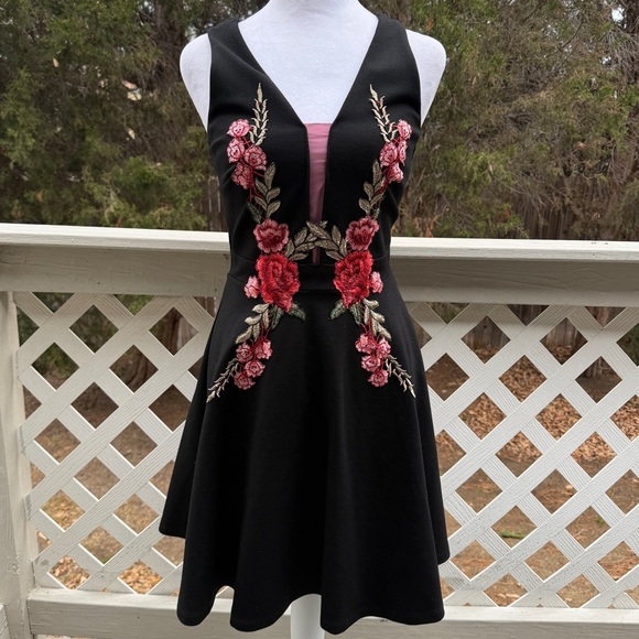 Mystic LA Romantic Roses Black Embroidered Skater Dress Small Plunge Neck Goth - Picture 5 of 11